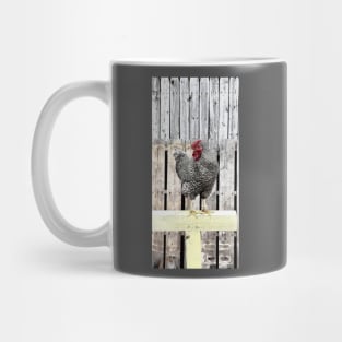 Bert Mug